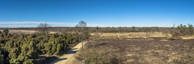 2019_02_24-13_14_09_13