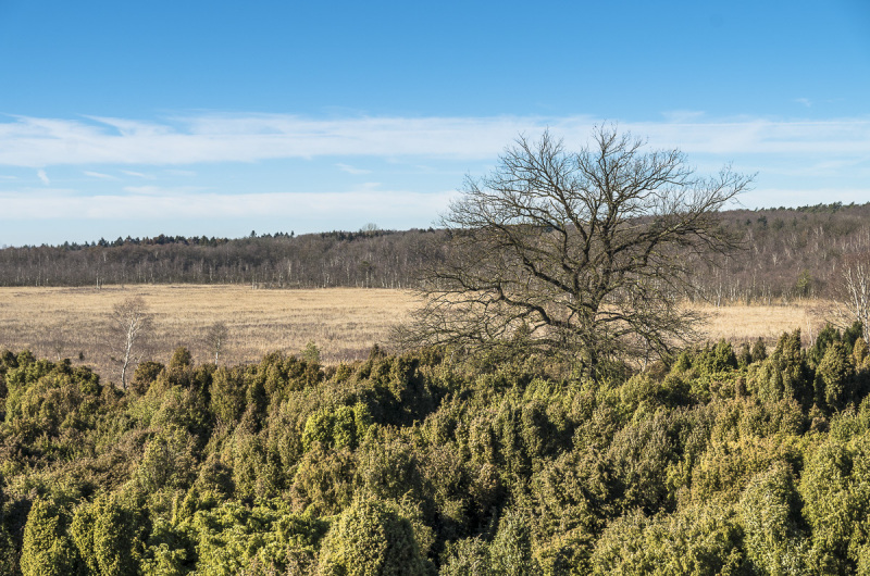 2019_02_24-13_14_20_14