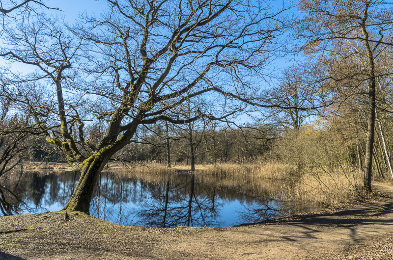 2019_02_24-13_52_08_16