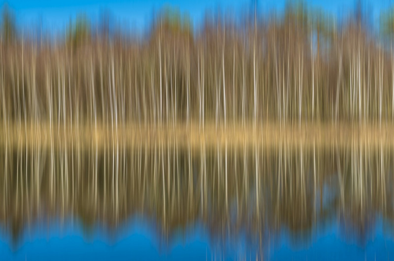 2019_02_24-14_18_45_1