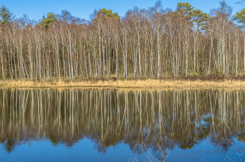 2019_02_24-14_18_45_17