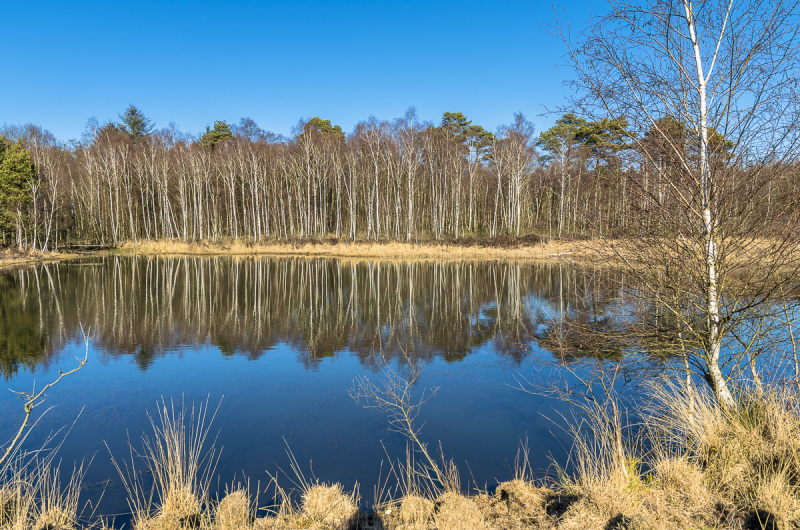 2019_02_24-14_18_51_18