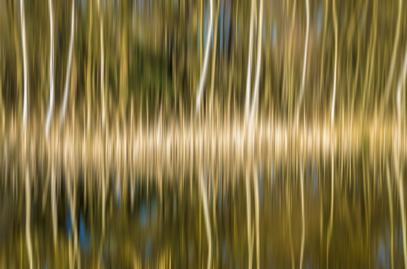 2019_02_24-14_21_48_1