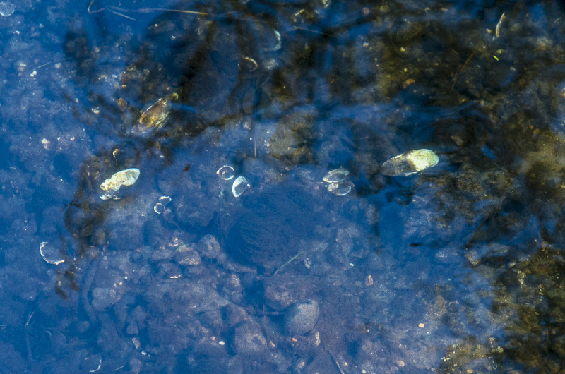 2019_02_24-15_14_48_20