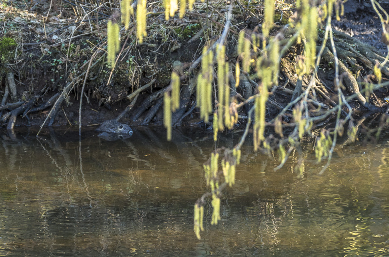 2019_02_24-15_14_57_21