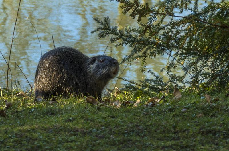 2019_02_24-15_48_06_27