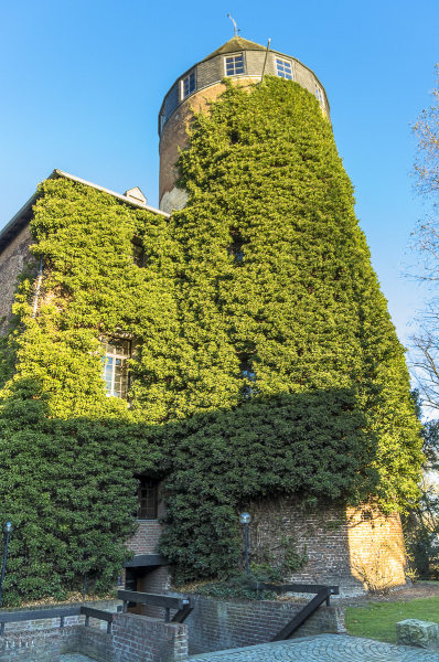 2019_02_24-17_03_16_28