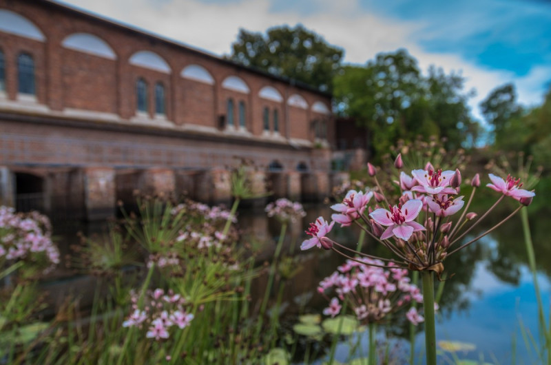 2019_08_19-10_23_34_2