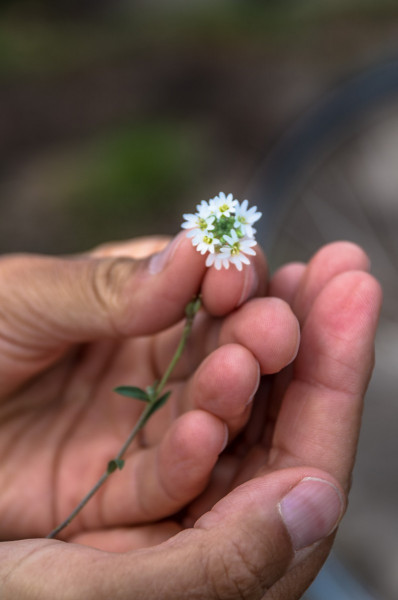 2019_08_19-10_49_24_9