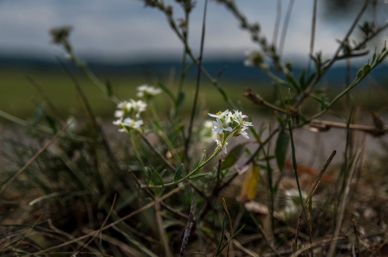 2019_08_19-10_50_16_10