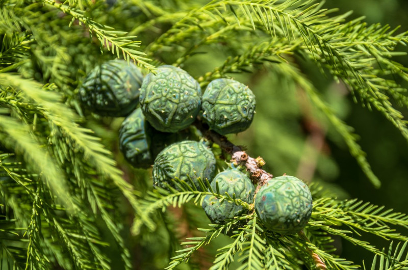 2019_08_19-13_22_06_20