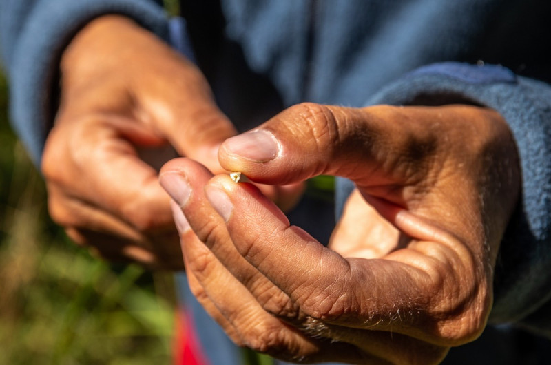 2019_08_19-13_23_41_21