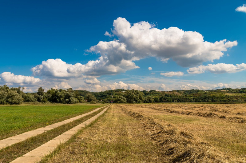 2019_08_19-14_13_36_25