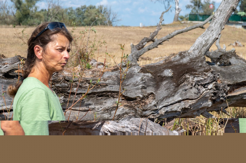 2019_08_19-14_28_52_29