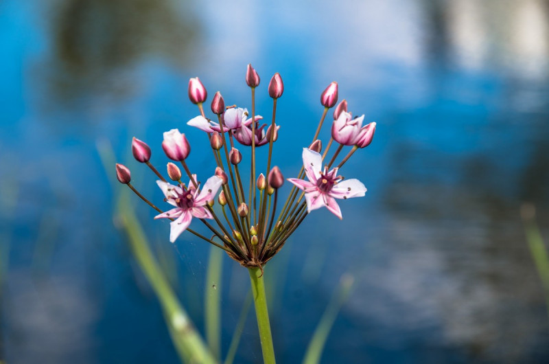 2019_08_19-15_31_10_30