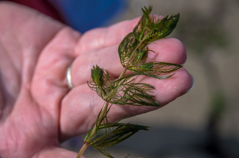 2019_08_19-15_31_56_32