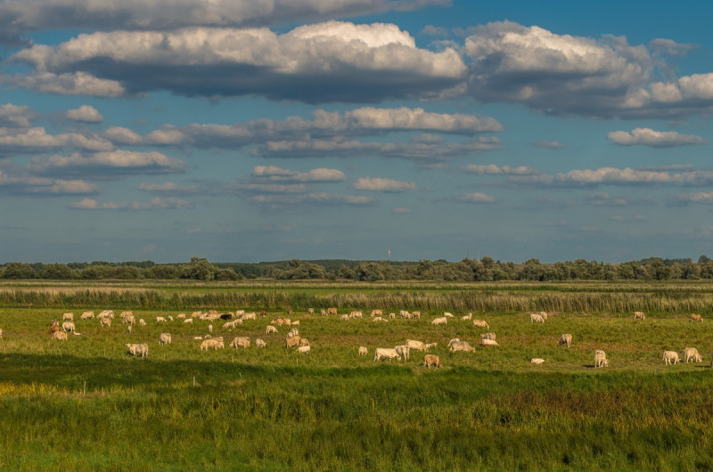 2019_08_19-17_53_32_37