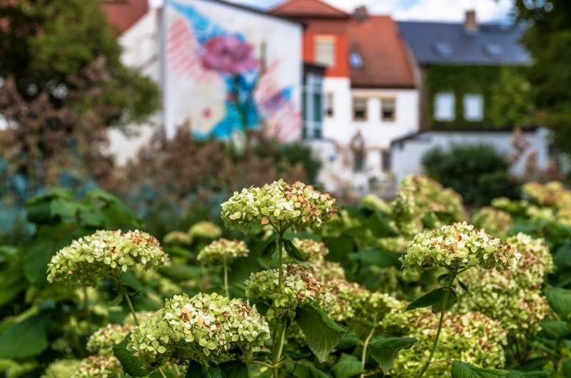 2019_08_20-13_02_55_23