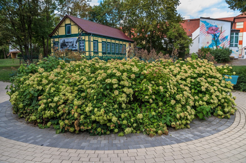 2019_08_20-13_03_06_24