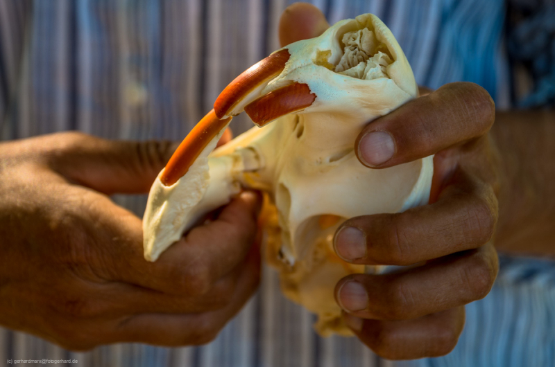 2019_08_22-15_17_54_141