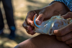 2019_08_22-15_16_06_140