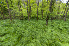 2019_05_18-14_20_40_14