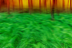 1_2019_05_18-14_20_40_1