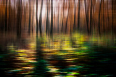 2009_10_31-16_18_04_1