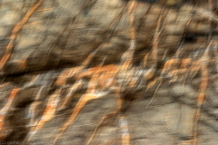 2010_01_08-11_24_48_1