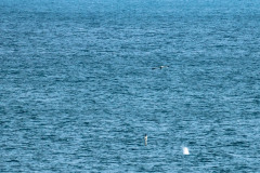 2023-03-29_11-06-19-1