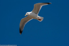 2023-03-19_14-34-22-13