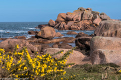 2023-03-19_15-57-27-18