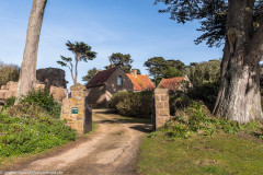 2023-03-19_16-28-12-20