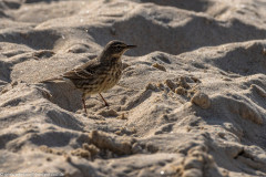 2023-03-19_16-43-03-21