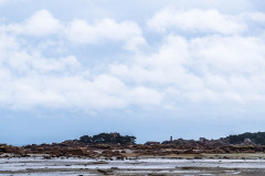 2023-03-20_11-22-55-1