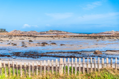 2023-03-21_11-35-28-3