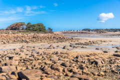 2023-03-21_11-54-29-4