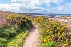 2023-03-21_12-07-56-6