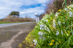 2023-03-21_12-52-25-7