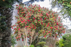 2023-03-21_12-59-07-8