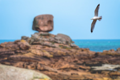 2023-03-22_11-37-57-1