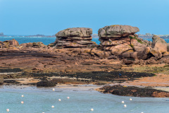 2023-03-22_11-39-20-2