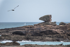 2023-03-25_16-51-41-7