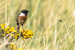 2023-03-26_14-20-52-8