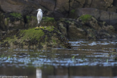 2023-03-27_11-41-27-2