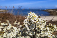 2023-03-27_13-02-42-1