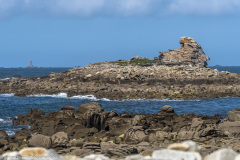 2023-03-27_13-29-56-6