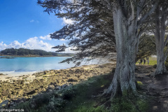 2023-03-27_13-55-39-2