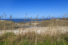 2023-03-27_14-54-19-3