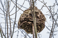 2023-03-29_10-26-00-1